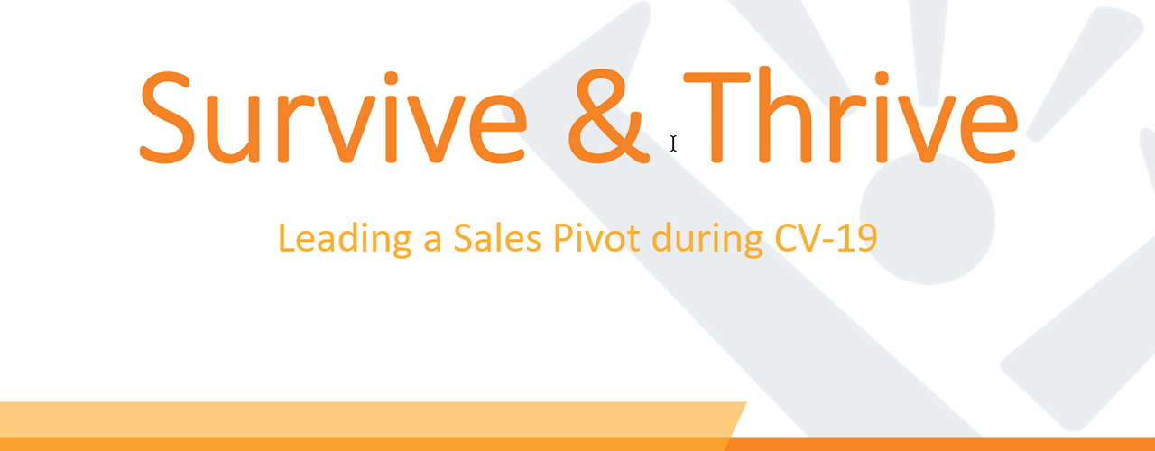 Don’t Stop Sales and Marketing Efforts.  Pivot Your Approach.